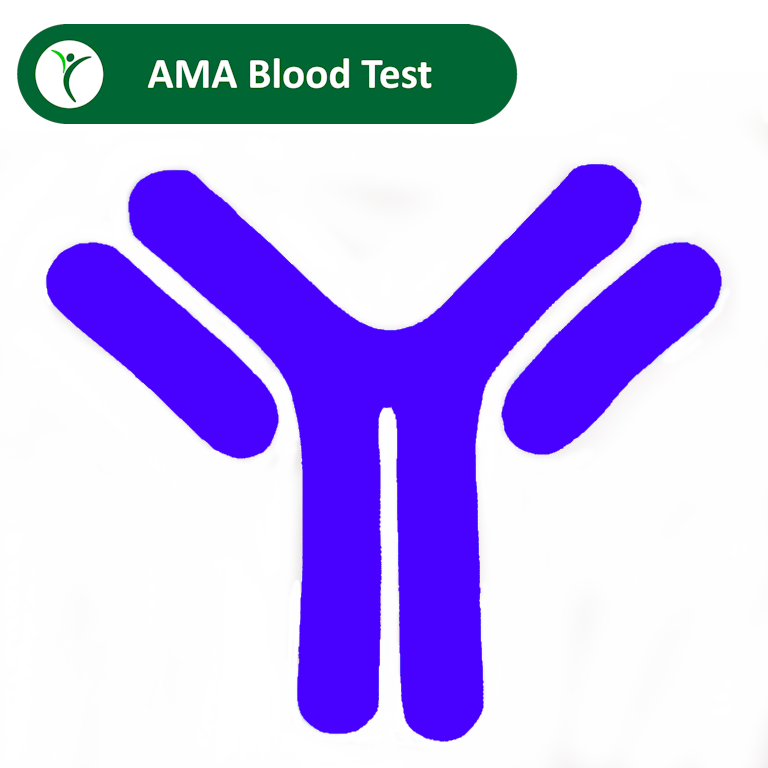 AMA Blood Test | Autoimmune Liver Disease Detection – AIS Health Check
