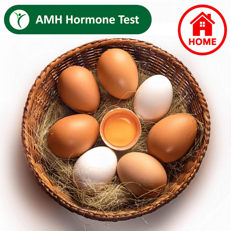 Basket with eggs and Home sign