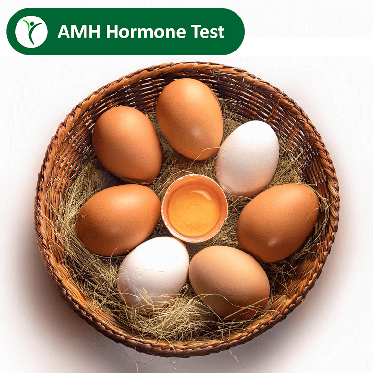 AMH Hormone Test