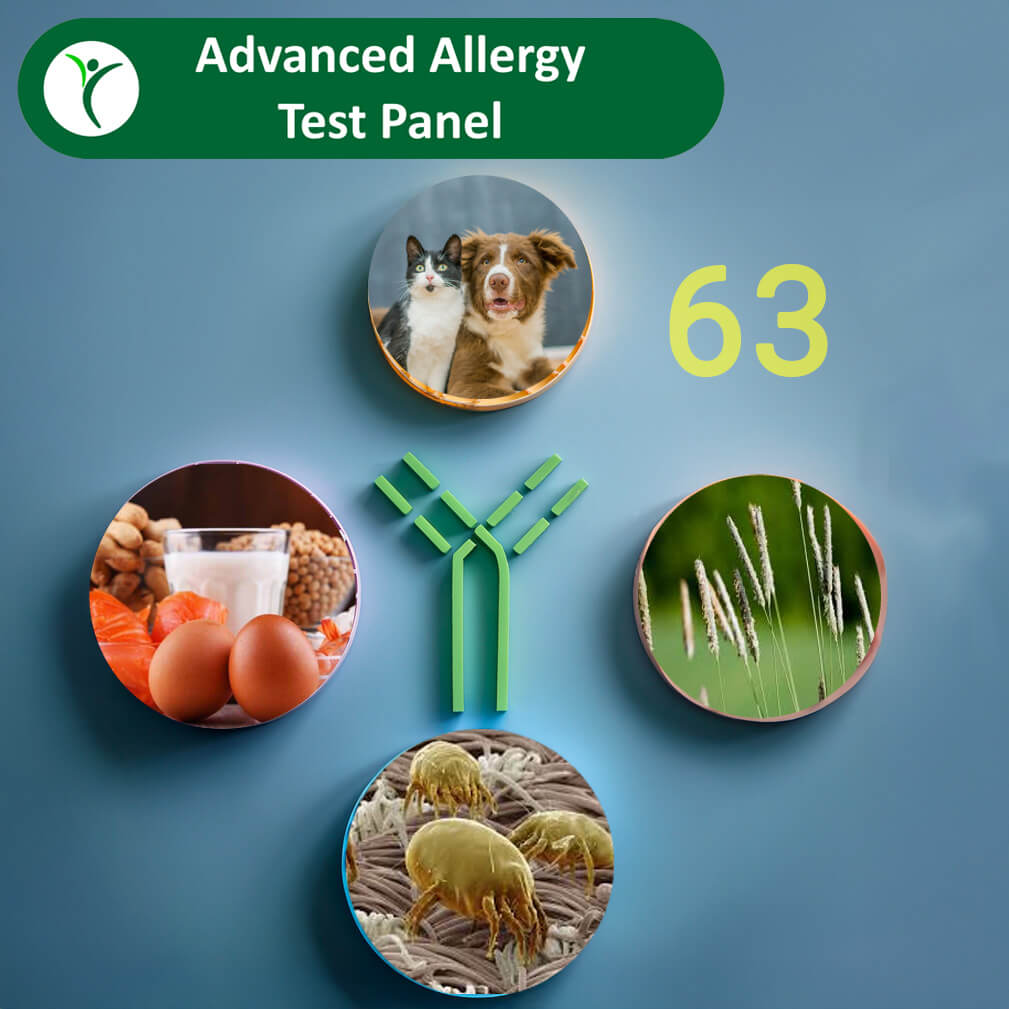 animals, food, grass, and house dust mite around an allergy antibody with the number 63 for test substances