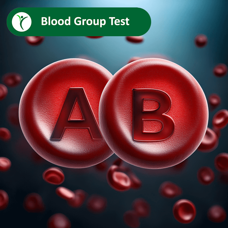 Blood Group Test