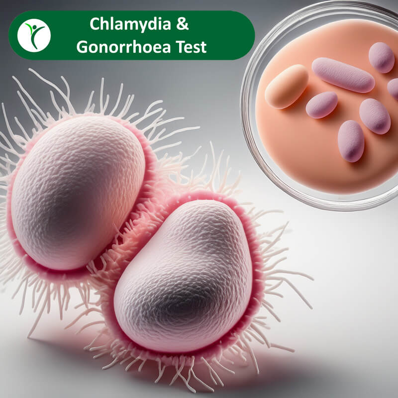 a chlamydia and gonorrhoea bacteria side by side