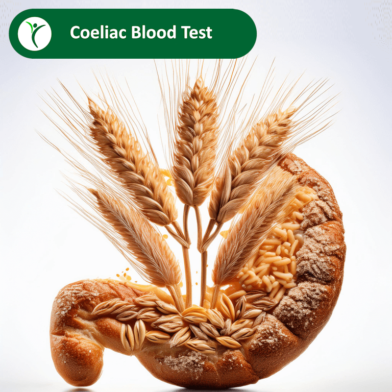 Coeliac Test Examples Coeliac Blood Test | Accurate Gluten Sensitivity Screening – AIS Health ...