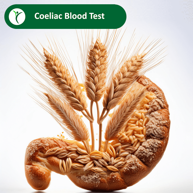 Coeliac Blood Test