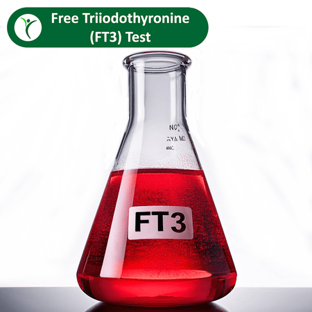 Free Triiodothyronine (FT3) Test depicted by red fluid in lab flask