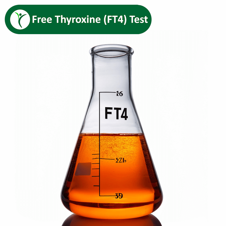 Free Thyroxine (FT4) Test depicted by orange fluid in lab flask