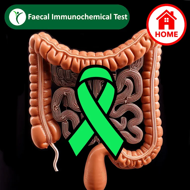 Colon with cancer symbol and home kit icon