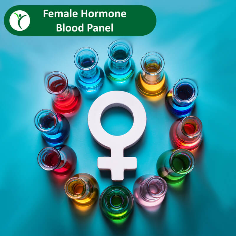 Numerous flasks of coloured fluids around a female symbol