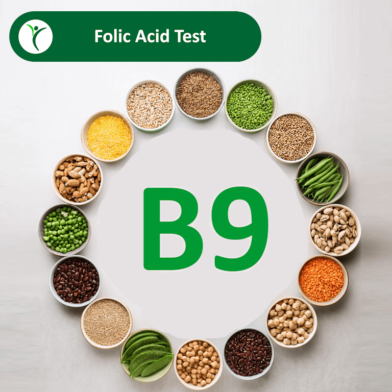 Folic Acid Test