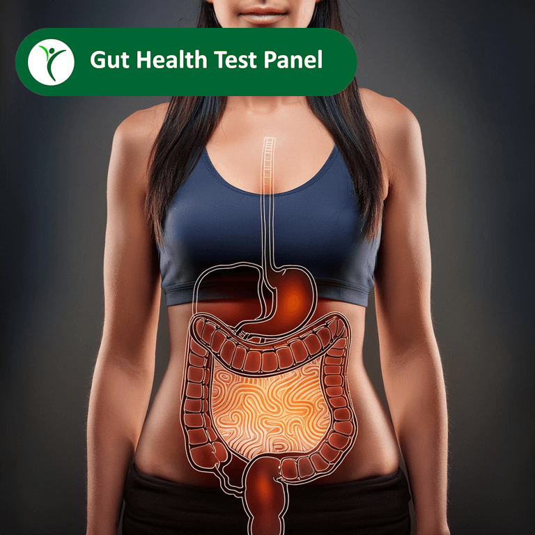 Gut Health Test Panel