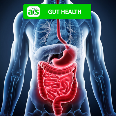 Gut Health