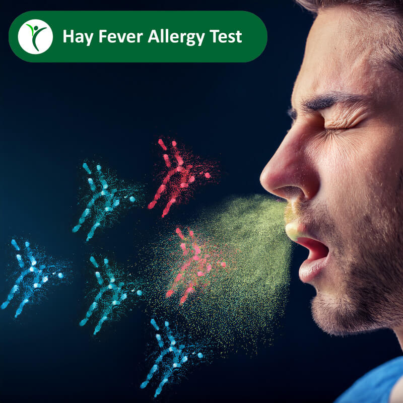 man sneezing with allergy antibodies