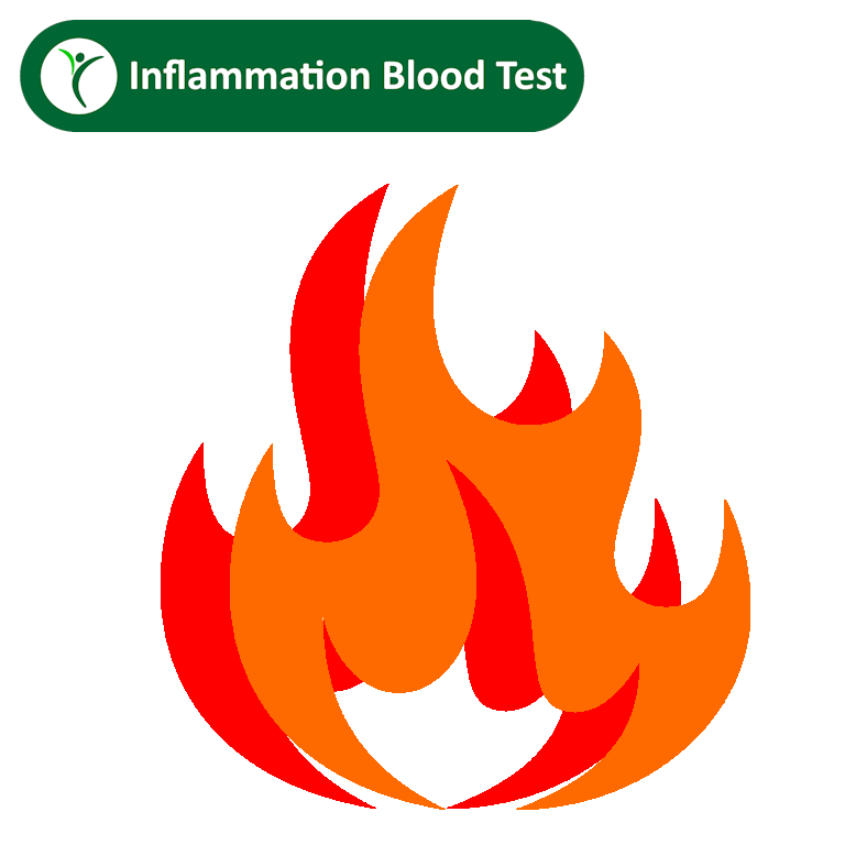 Inflammation Blood Test | CRP, ESR & Ferritin Panel – AIS Health Check