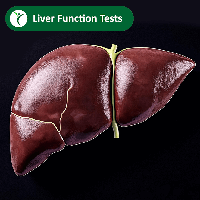liver function tests
