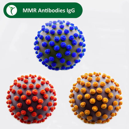 3 coloured virus particles next to each other representing MMR