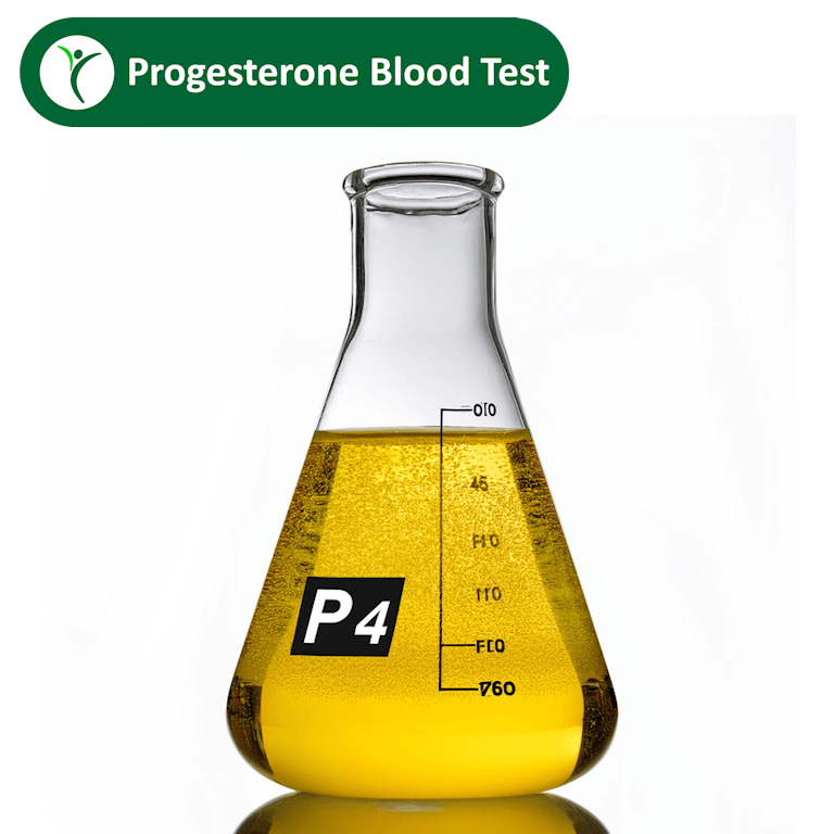 Progesterone blood test depicted by a yellow liquid in a lab flask