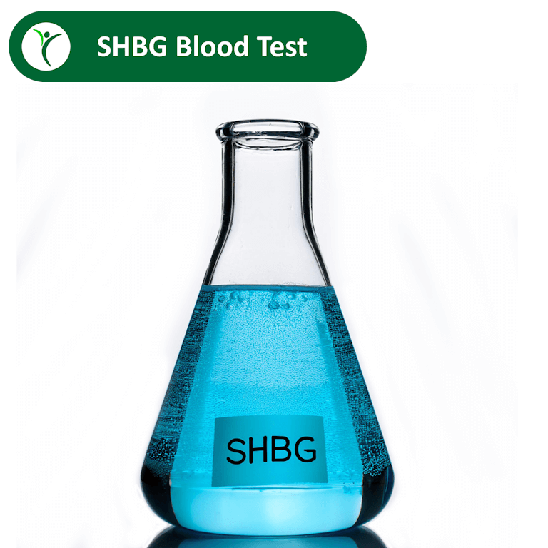 SHBG blood test depicted by a light blue liquid in a lab flask